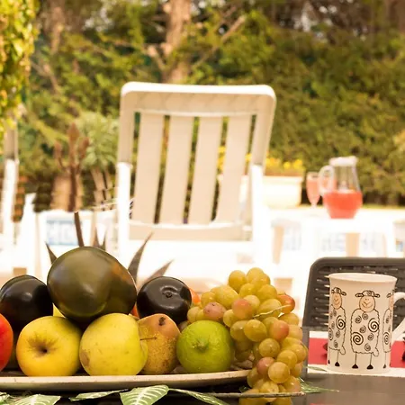 Monte Branco - Super 5 Bedroom Holiday Sleeps 14 Guests Private Pool Villa *